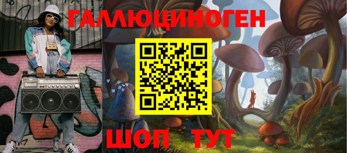 Галлюциногенные грибы Psilocybe Глазов
