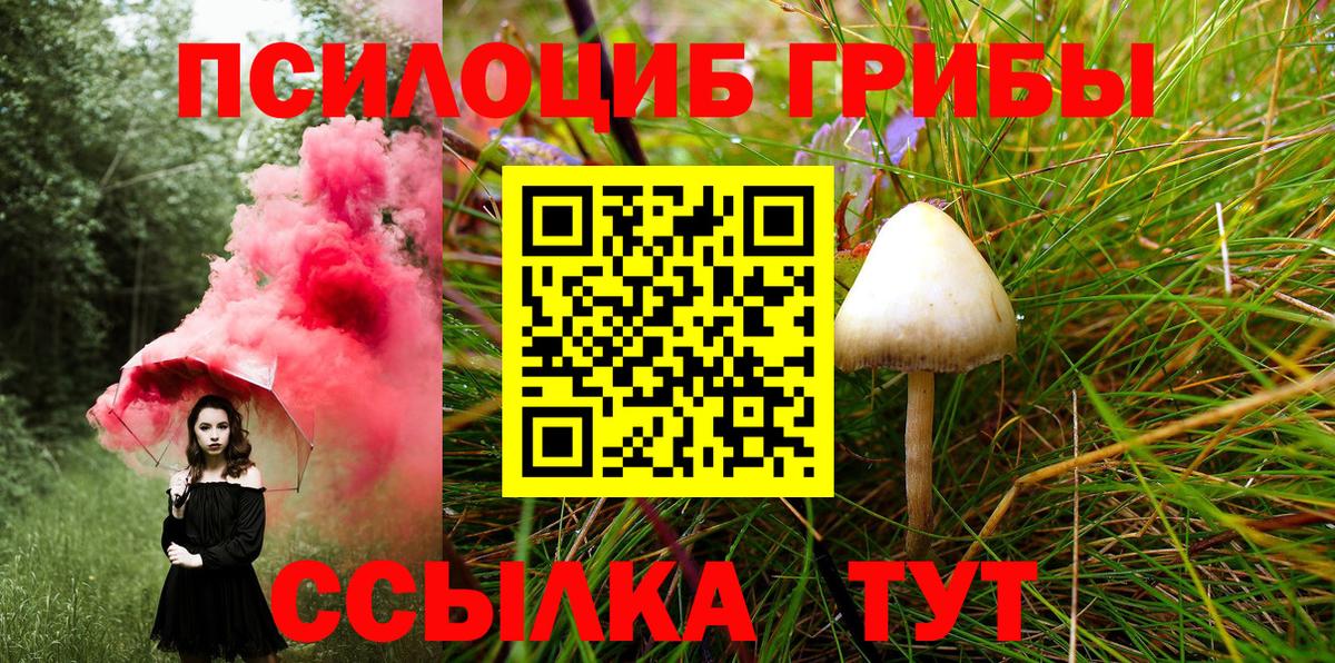 Глазов  Псилоцибиновые грибы GOLDEN TEACHER  Вход с VPN  Псилоцибиновые грибы Psilocybe 